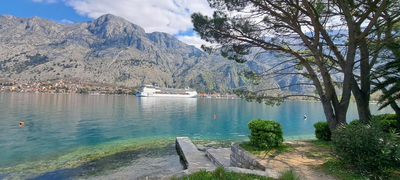 Apartment Vujosevic D&D Kotor Phòng bức ảnh